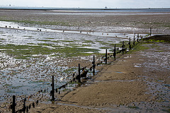 20140907 4840VRAw [NL] Terschelling