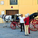 Negociando un paseo en coche de caballos - Córdoba.