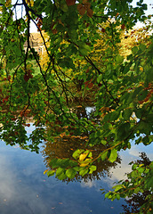 Autumn Reflections.