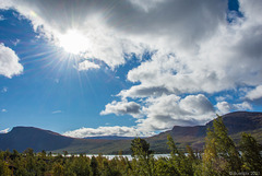 Herbstsonne in Laponia (© Buelipix)