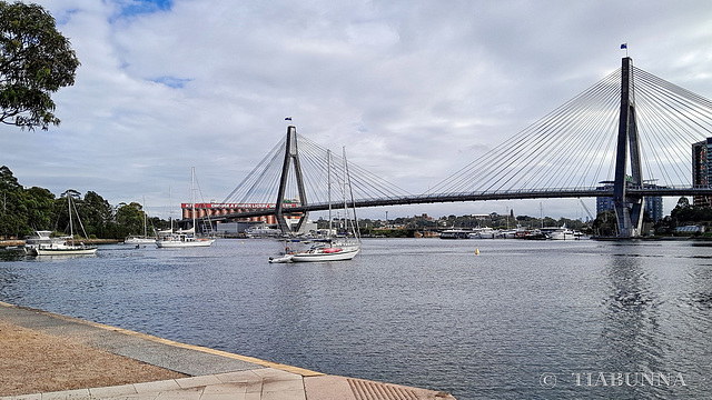 Sydney Harbour and bridge