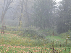 Jour de pluie**********hier************ Jour de pluie**********hier************