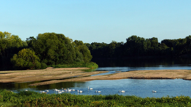 SAINTE GEMMES SUR LOIRE