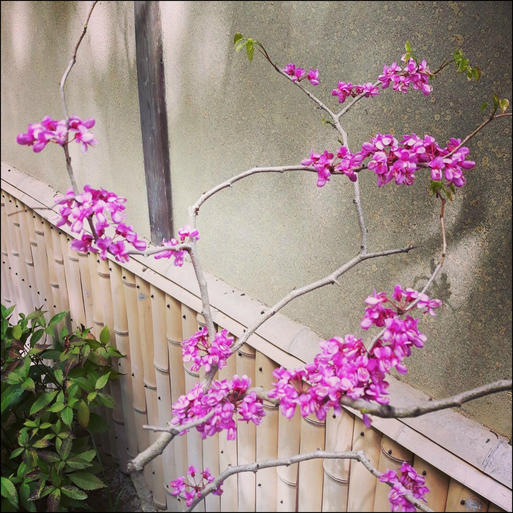 このほどを  花に礼いふ  別れ哉