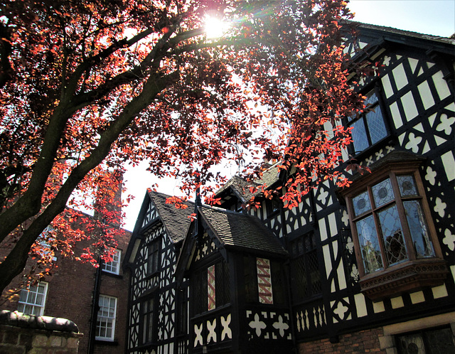 Shrewsbury, a sunny corner