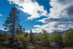Laponia (© Buelipix)