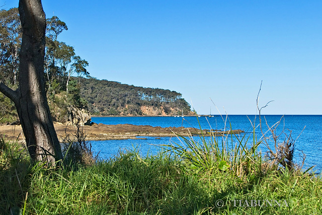 Winter coastal scene