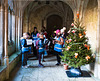 Cloisters Christmas No.1