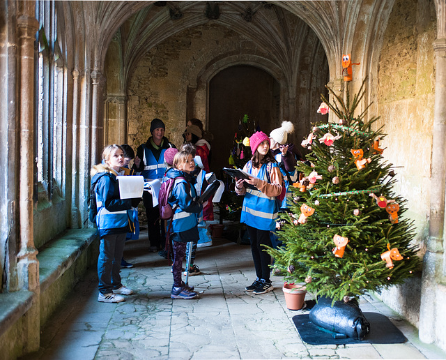 Cloisters Christmas No.1