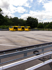 Three yellow busses