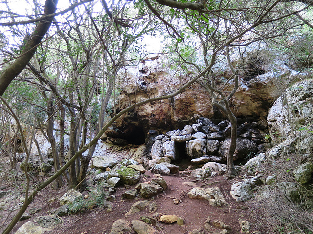 Cales Coves