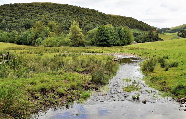 Scotland St. Cuthbert's Way (PiP)