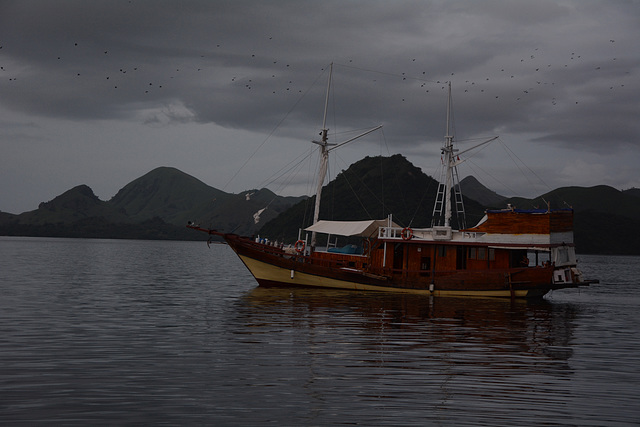 Indonesia, Evening on the Sea among the Islets of Komodo National Park (Migration of Flying Foxes)