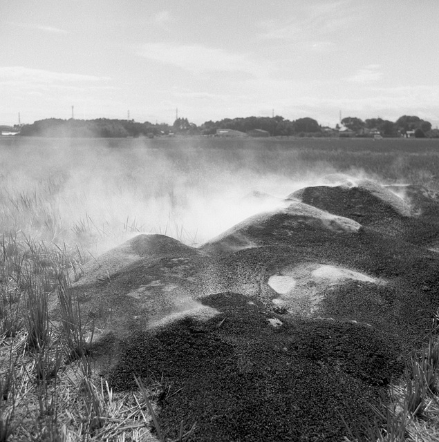 Burning rice hulls