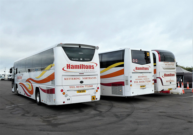 Hamiltons Coaches at Cambridge Services (A14) - 8 Aug 2021 (P1090328)