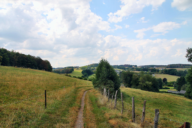 Feldweg im Paasbachtal (Sprockhövel) / 16.08.2020