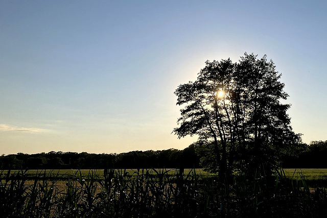 Die Sonne scheint warm in Altwarmbüchen