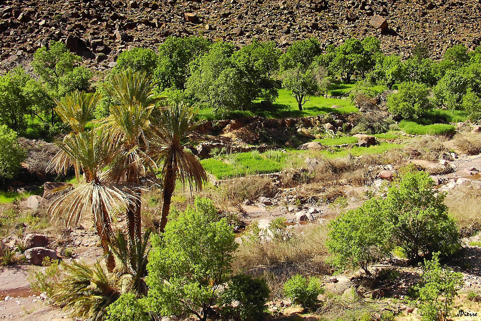 Maroc