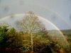 Le pont de l'arc en ciel / Rainbow bridge [EXPLORER]