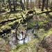 Słowiński Park Narodowy (12)