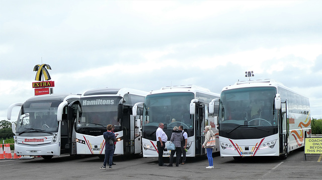 Hamiltons Coaches at Cambridge Services (A14) - 8 Aug 2021 (P1090324)