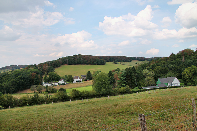 Im Westenfelde (Sprockhövel) / 16.08.2020