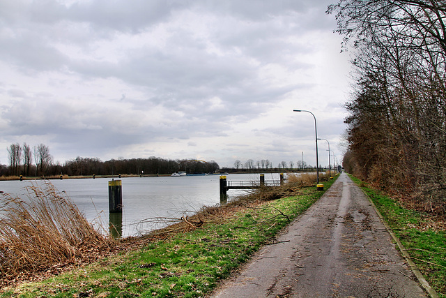 Weg am Wesel-Datteln-Kanal (Datteln-Natrop) / 19.02.2022