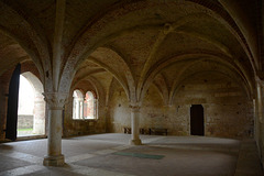 Italy, The Abbey of San Galgano, Arches of the Ground Floor