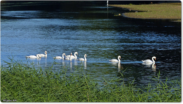 SAINTE GEMMES SUR LOIRE