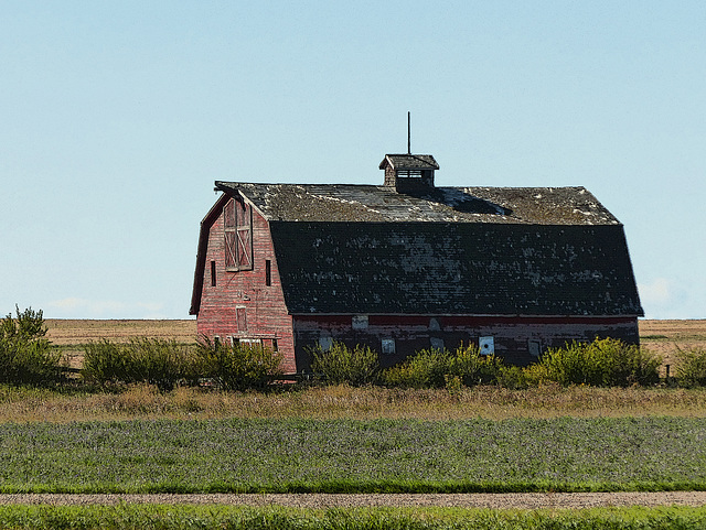 An old, red beauty