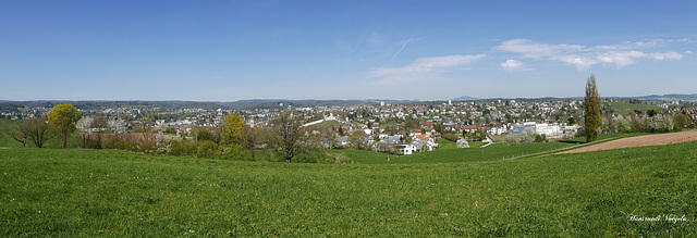 Blick auf Schaffhausen