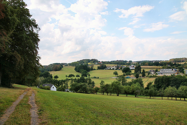 Blick über das Paasbachtal (Sprockhövel) / 16.08.2020