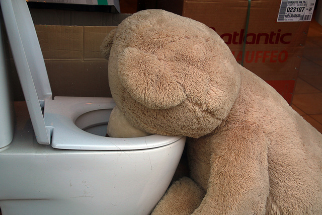 Avec Monique , nous avons été choqués à la vue d'un ours passablement aviné , qui vomissait dans la cuvette des toilettes .