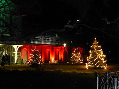 Die Bank im Palmengarten