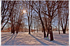 "Es geht ein Licht vom Himmel wie Rosenmilch. Geht durch die leeren Bäume über den Schnee..."  ☼   "There's a light from heaven like rose milk. Goes through the empty trees over the snow..."