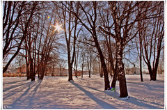 "Es geht ein Licht vom Himmel wie Rosenmilch. Geht durch die leeren Bäume über den Schnee..."  ☼   "There's a light from heaven like rose milk. Goes through the empty trees over the snow..."