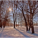 "Es geht ein Licht vom Himmel wie Rosenmilch. Geht durch die leeren Bäume über den Schnee..."  ☼   "There's a light from heaven like rose milk. Goes through the empty trees over the snow..."