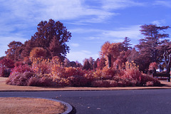 Levengrove Park - IRChrome