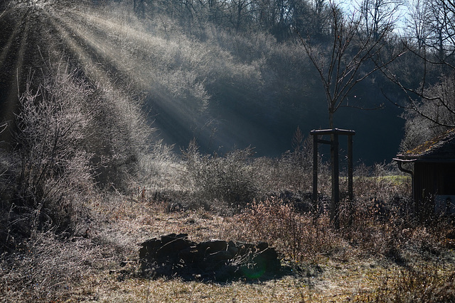 Ein frostiger Wintermorgen - A crisp and frosty winter morning