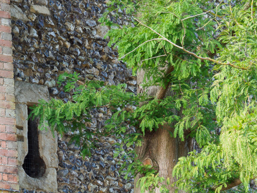 Keyhole