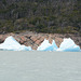 Icebergs on the Lake of Argentino