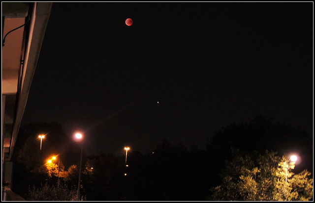 Bloody Moon