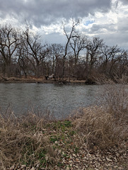 River Walk