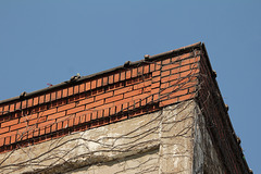 power building - non sandblasted brick