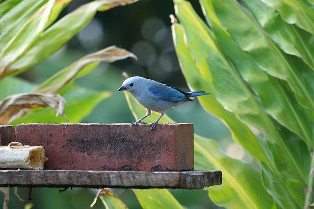 2012 0908PhotosAug20120026