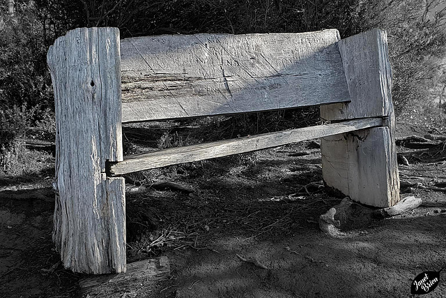 Happy Bench Monday from William Tugman State Park! (+8 insets)