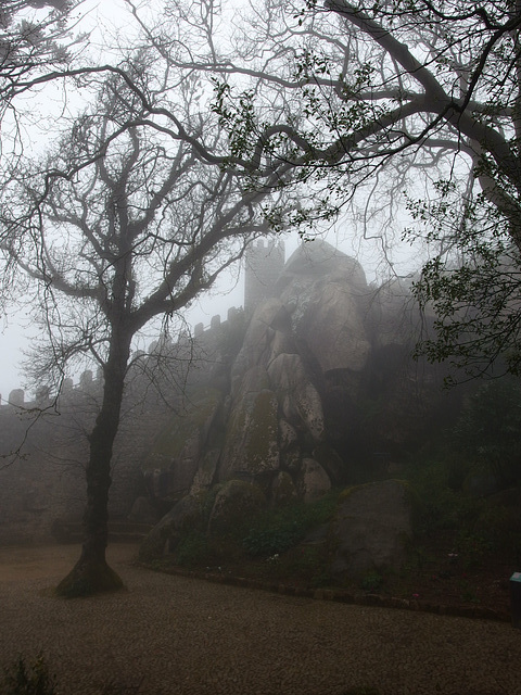 Moors in the Mist