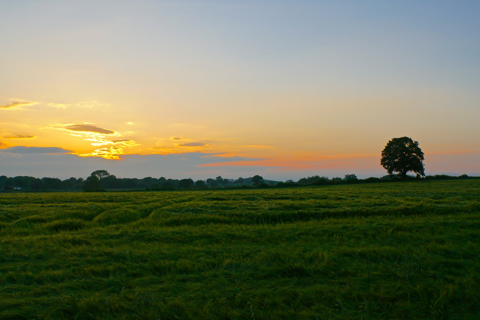 Early June sunset