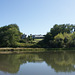 River Tamar View