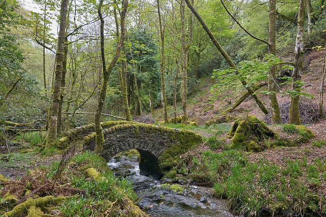 Skipness woodland walk